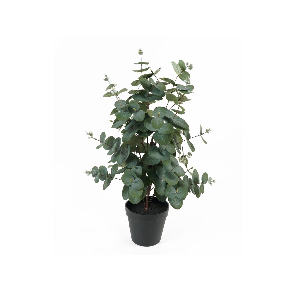 Plante Artificielle Plastique EUCALYPTUS LEAF vert foncé, PRESENT TIME