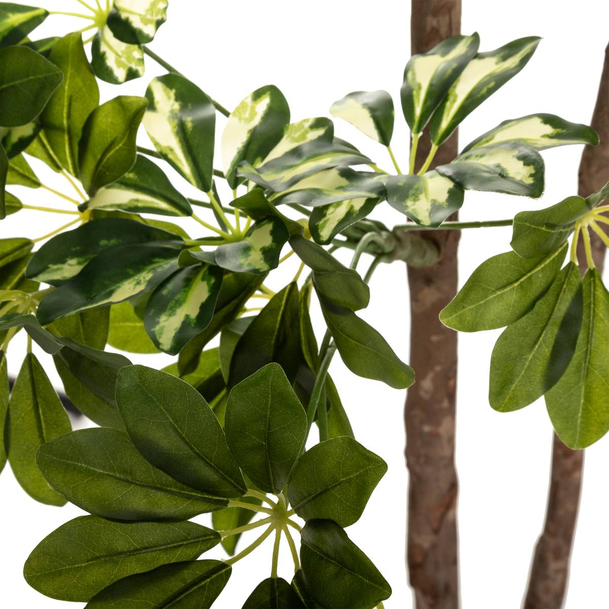 Schefflera artificiel vert, ATMOSPHERA
