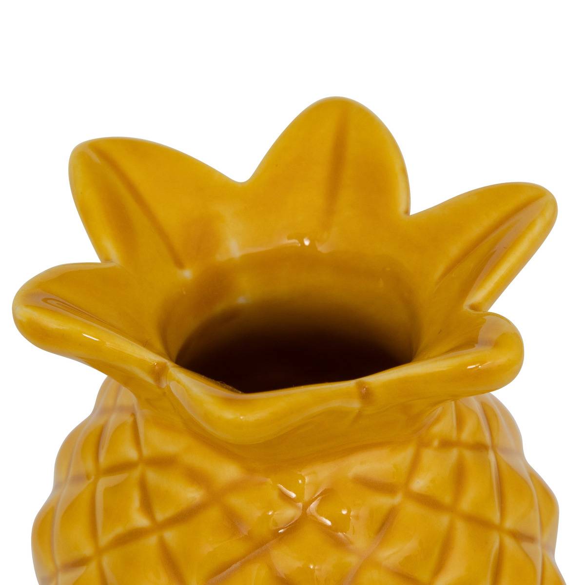 Soliflore Ananas YUCA multicolore, ATMOSPHERA