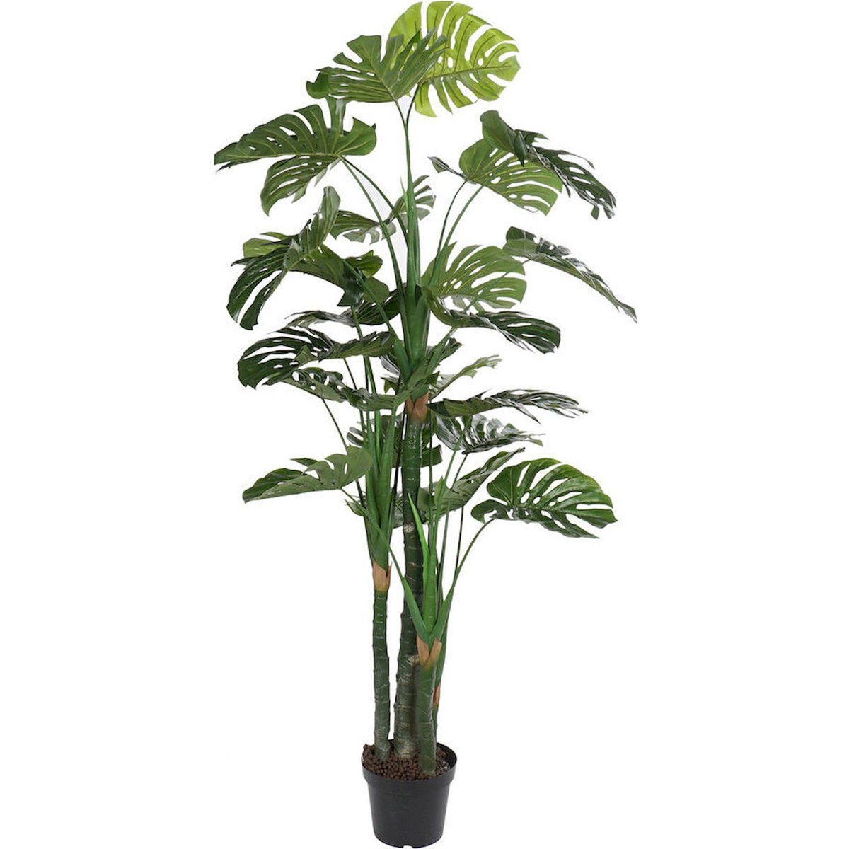Plante décorative feuillage tropical vert tropical feuillage réaliste, RECOLLECTION
