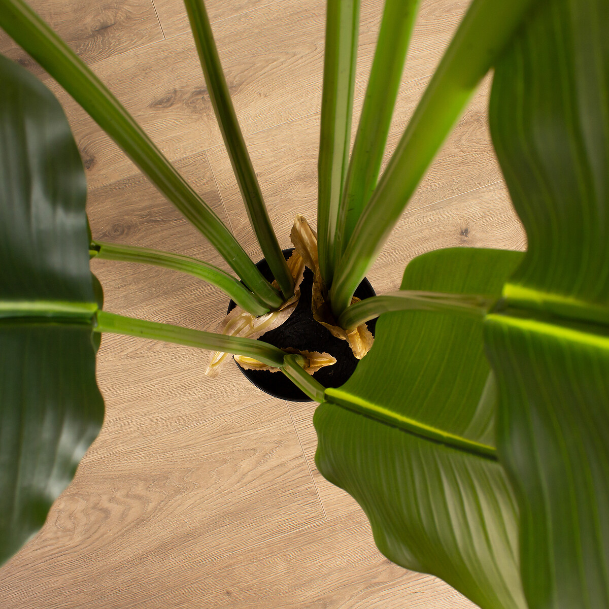 120cm Artificial Real Touch Banana Tree green, SO'HOME