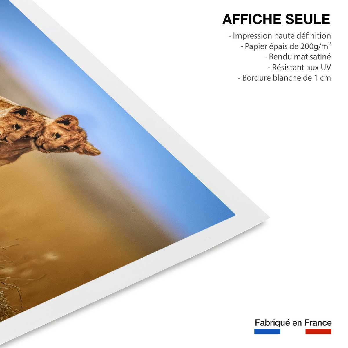 Affiche animaux brothers for the life affiche seule, HEXOA