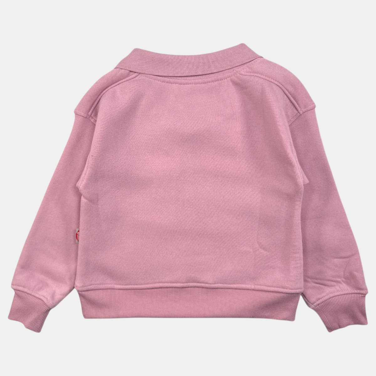 Sweat col rond imprimé, coupe décontractée, manches longues et détails brodés VARSITY rose, LEE COOPER