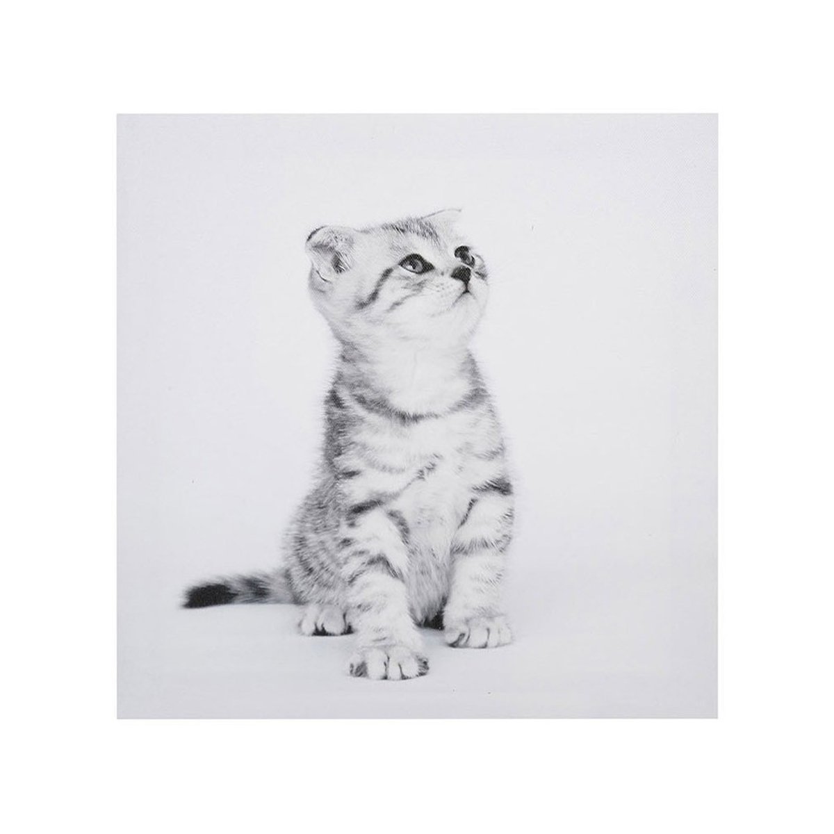 Ensemble de 4 tableaux sur toile imprimée 28x28  Funny gris, DECORATIE