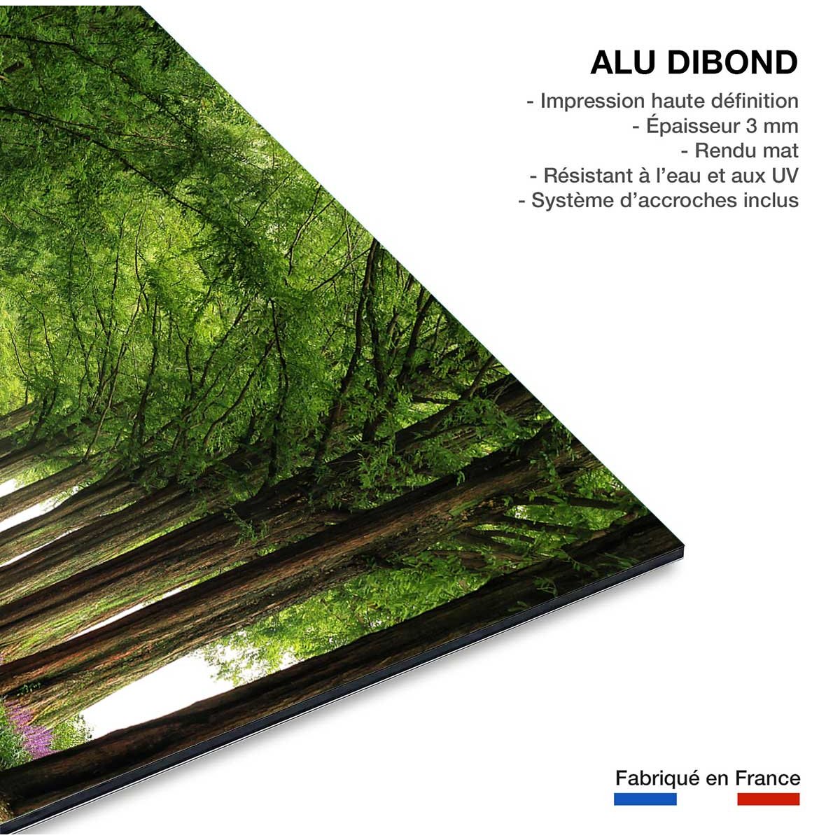 Tableau paysage Metasequoia tableau alu dibond, HEXOA