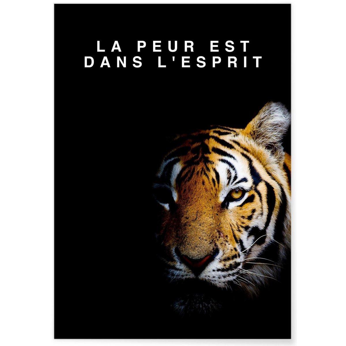 Affiche Motivation La Peur est dans l'Esprit blanc, L'AFFICHERIE