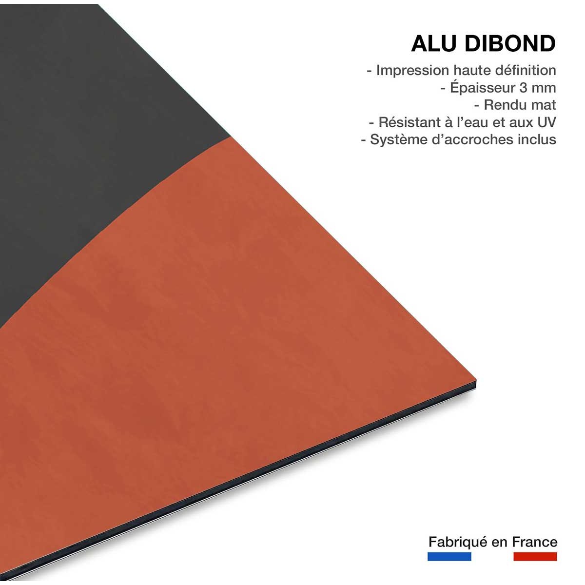 Tableau goodbye moon tableau alu dibond, HEXOA