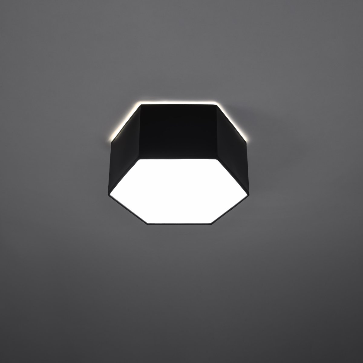 Plafonnier PVC Noir E27 2 Sunde 13 noir, EDEN