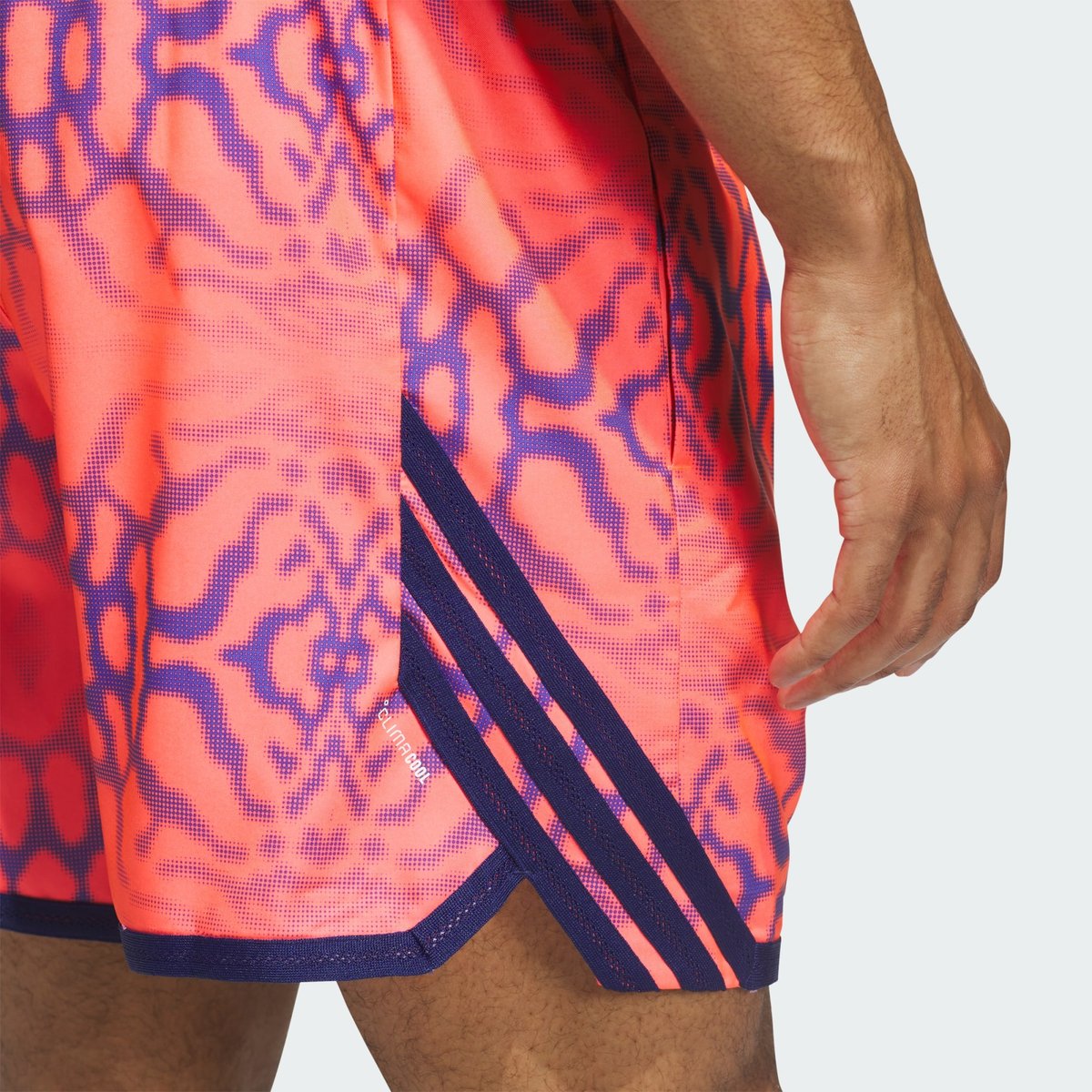 Short Graphique Crazylite Short Graphique Crazylite solar turbo, adidas Performance