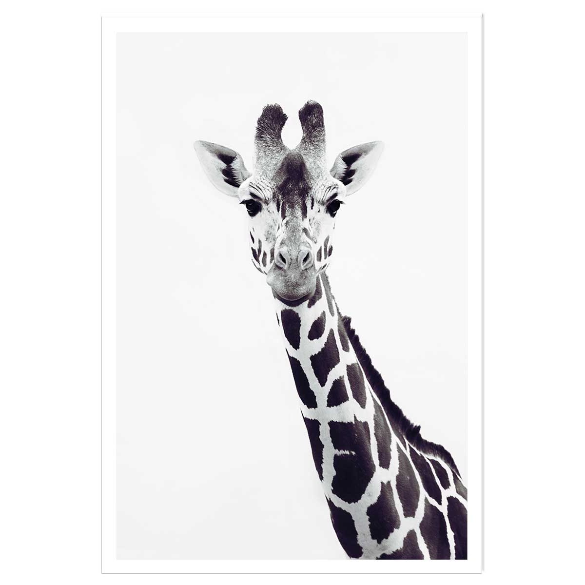 Affiche enfant girafe noire affiche seule, HEXOA