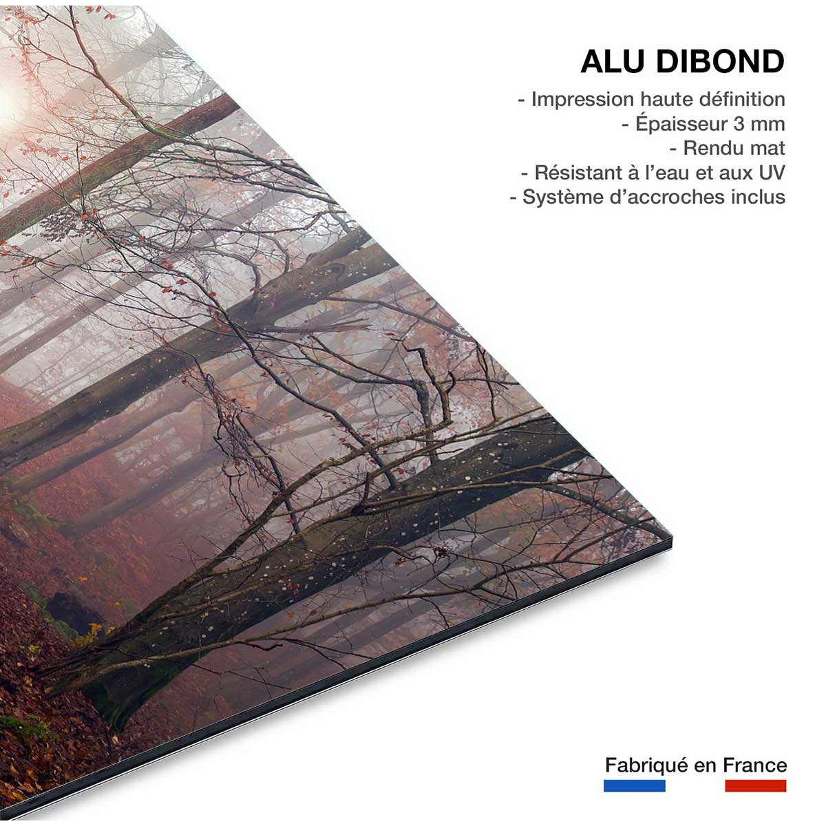 Tableau Automne jaune tableau alu dibond, HEXOA