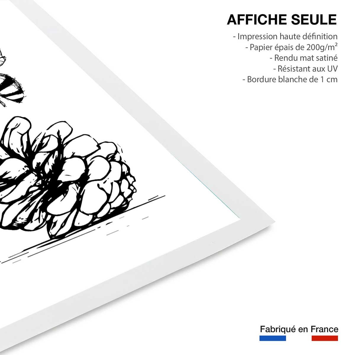 Poster pomme de pins et abeille affiche seule, HEXOA