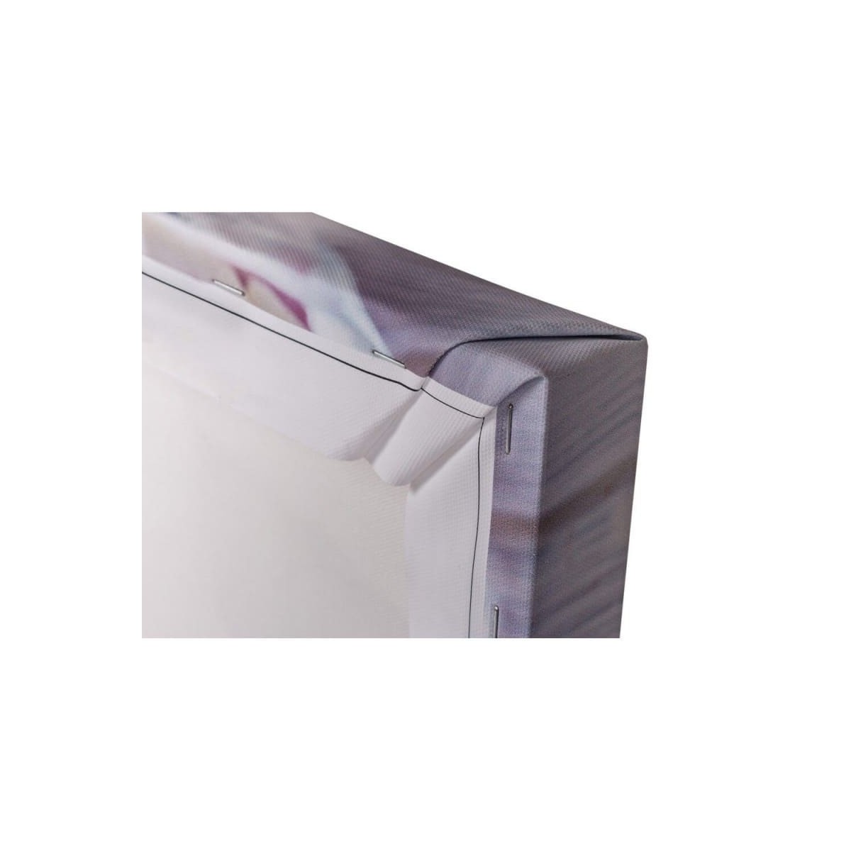 Tableau Mural Lion 100x140 Cm ANIMAUX tableaux sur toile-marron, CEANOTHE