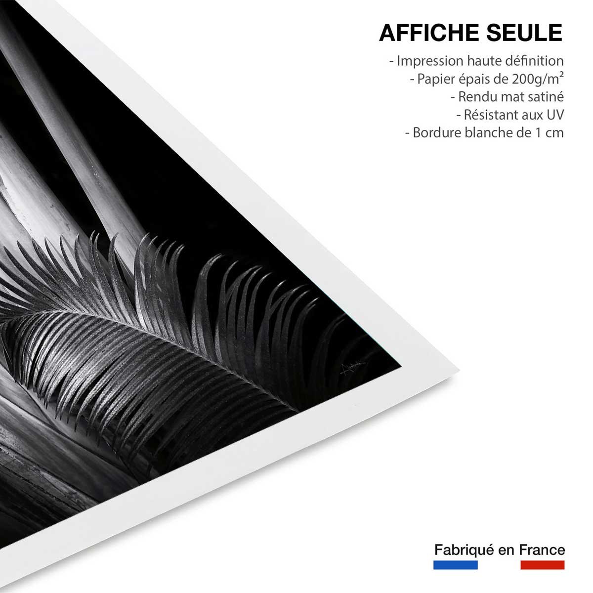Poster jungle Marbella palm affiche seule, HEXOA