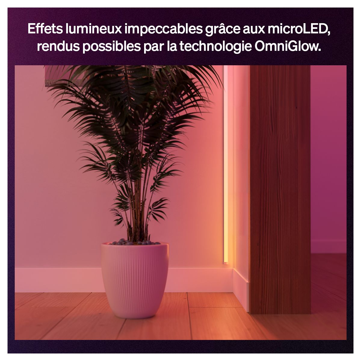 Bandeau LED OmniGlow Strip Light 3m White&Color grad couleur unique, PHILIPS HUE