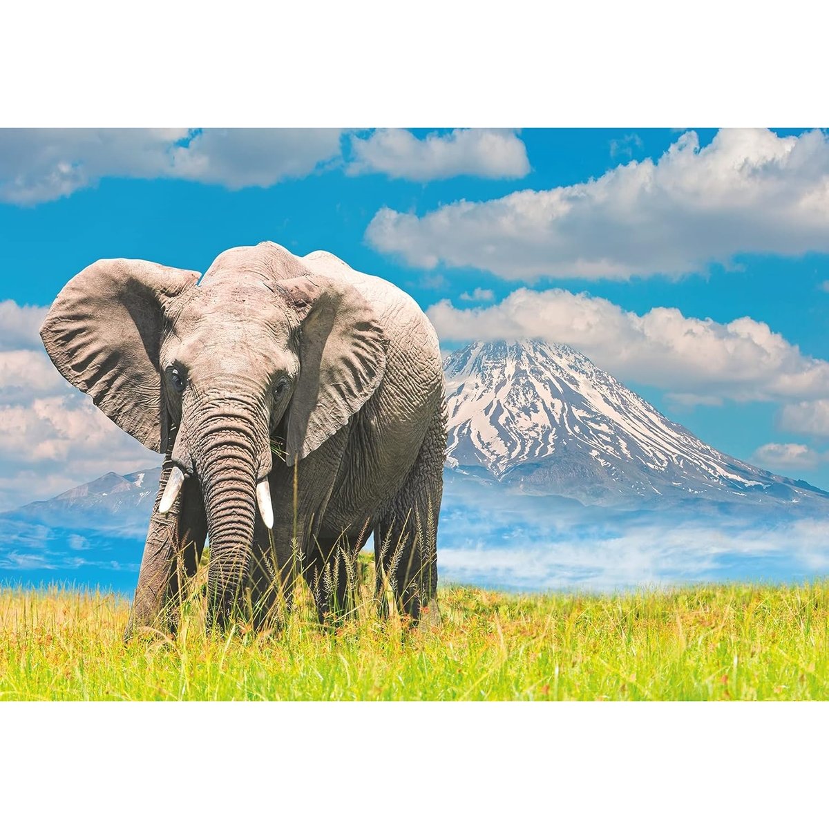 Puzzle - Eléphant d'Afrique multicolore, RAVENSBURGER