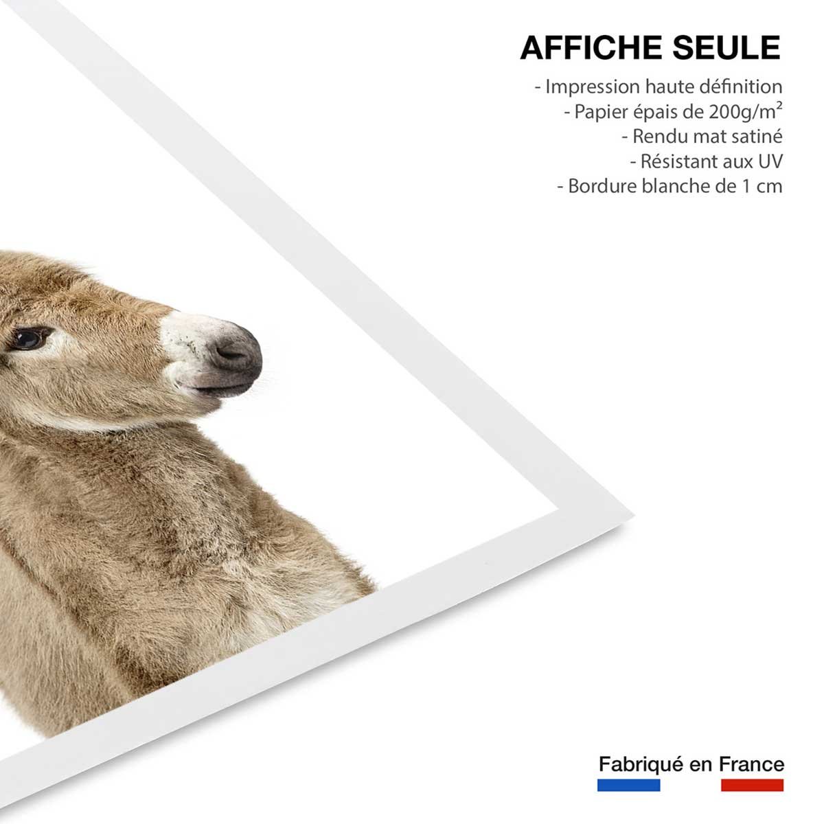 Affiche enfant anon affiche seule, HEXOA