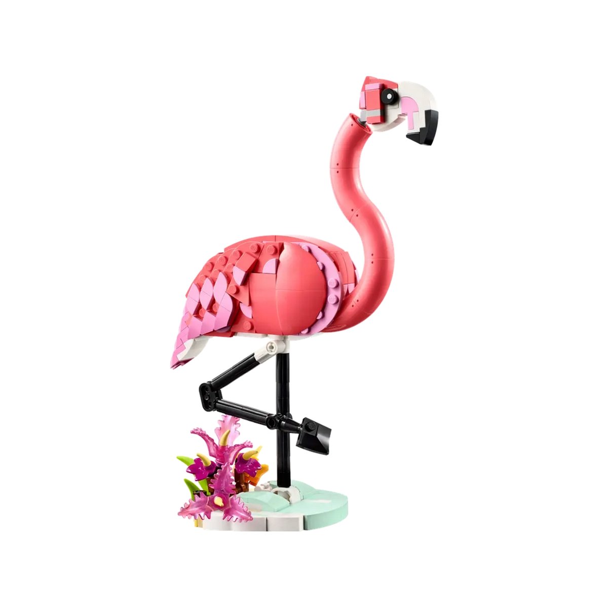 LEGO Creator Animaux Sauvages : Flamant Rose 3-en-1 (31170) - Jeu de Construction Créatif rose, LEGO