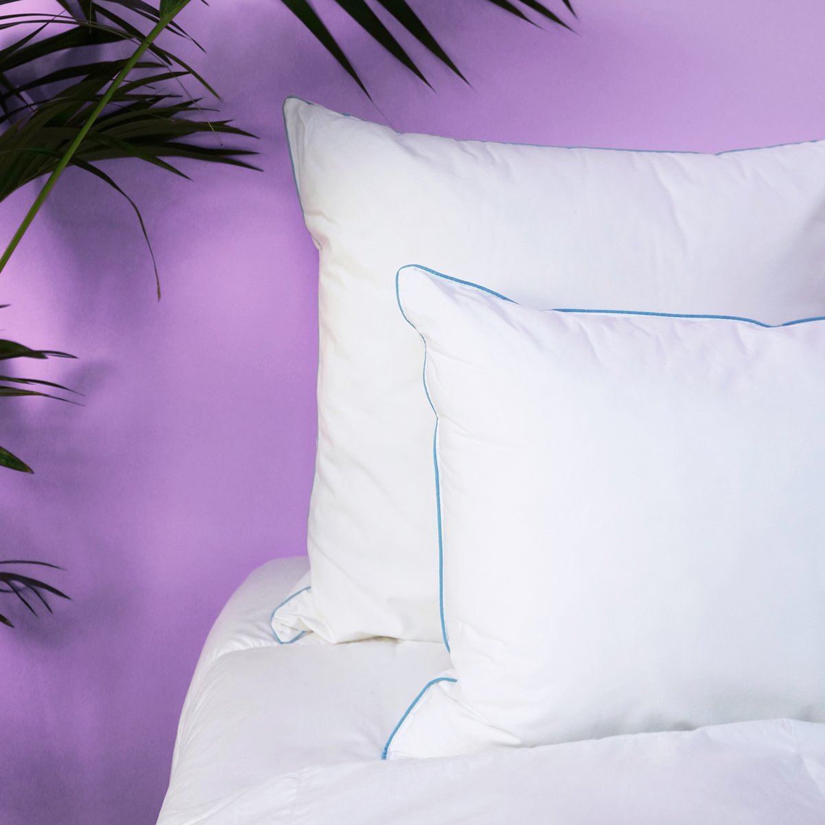 Oreiller MEDIUM Sensation Duvet - Coton Bio - Olivier blanc, WAKE ME GREEN