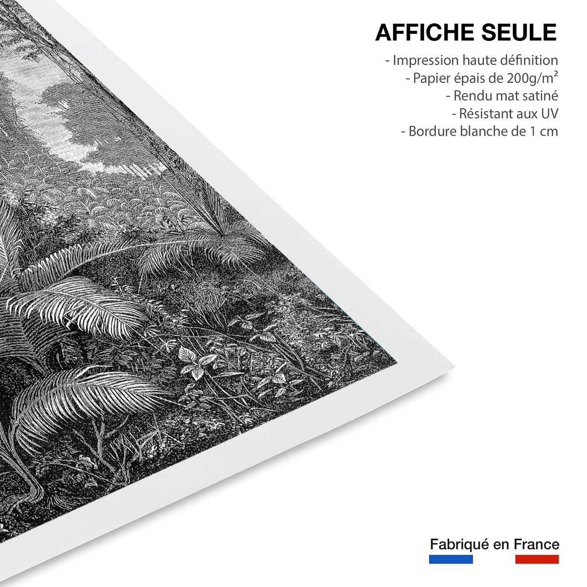 Affiche paysage jungle indienne affiche seule, HEXOA
