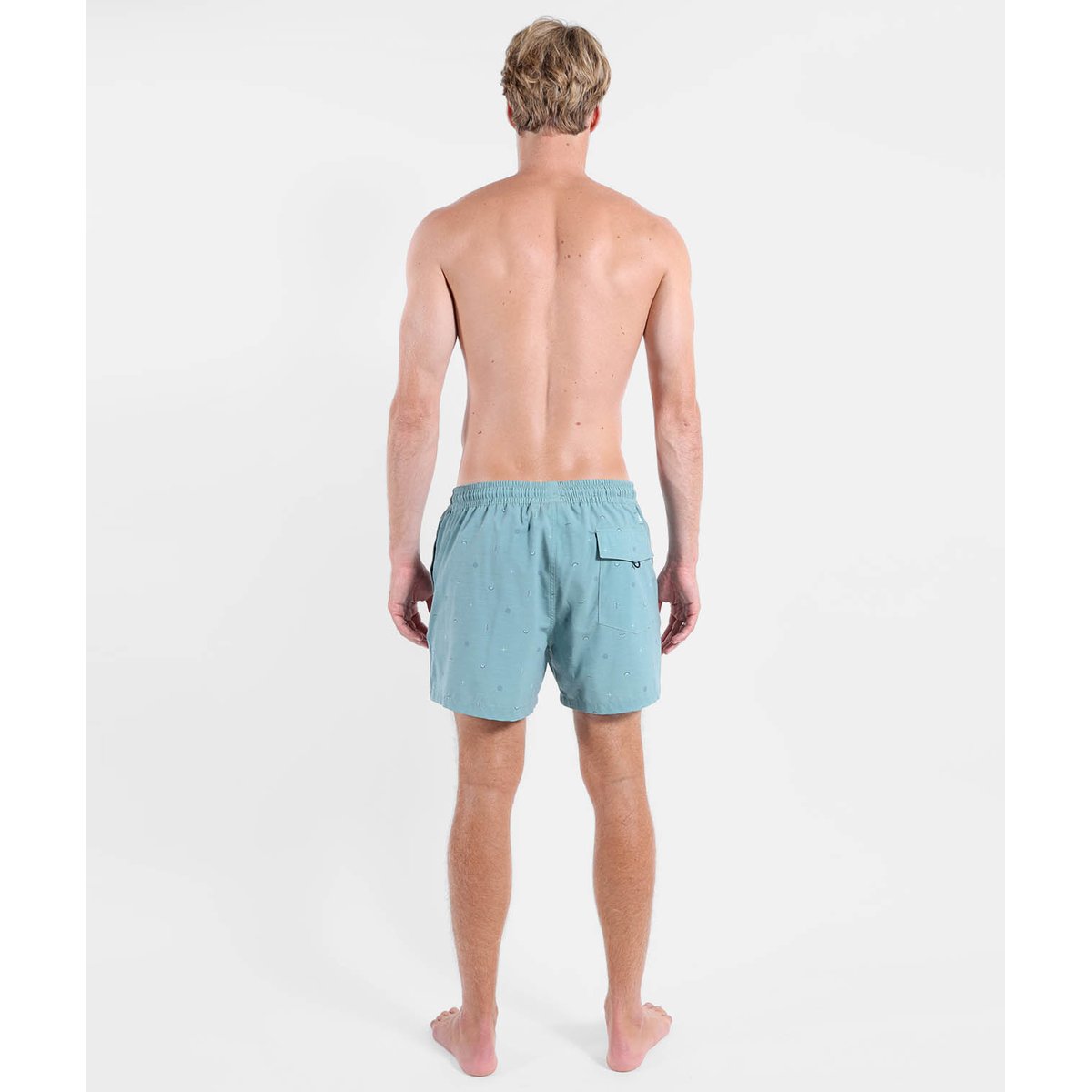 Beachshort MICROMO cactus, OXBOW