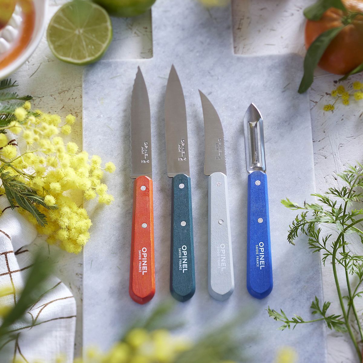 Couteau Coffret les essentiels Primo couleur unique, OPINEL