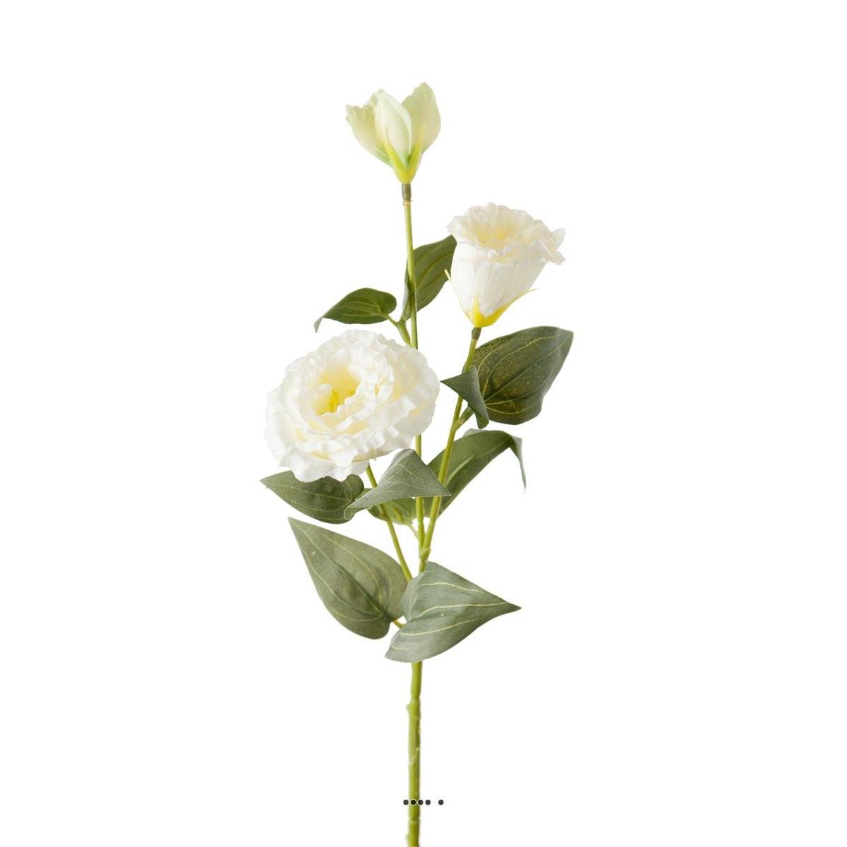 Lisianthus artificiel en tige H70cm D18cm 3 f crème, ARTIFICIELLES