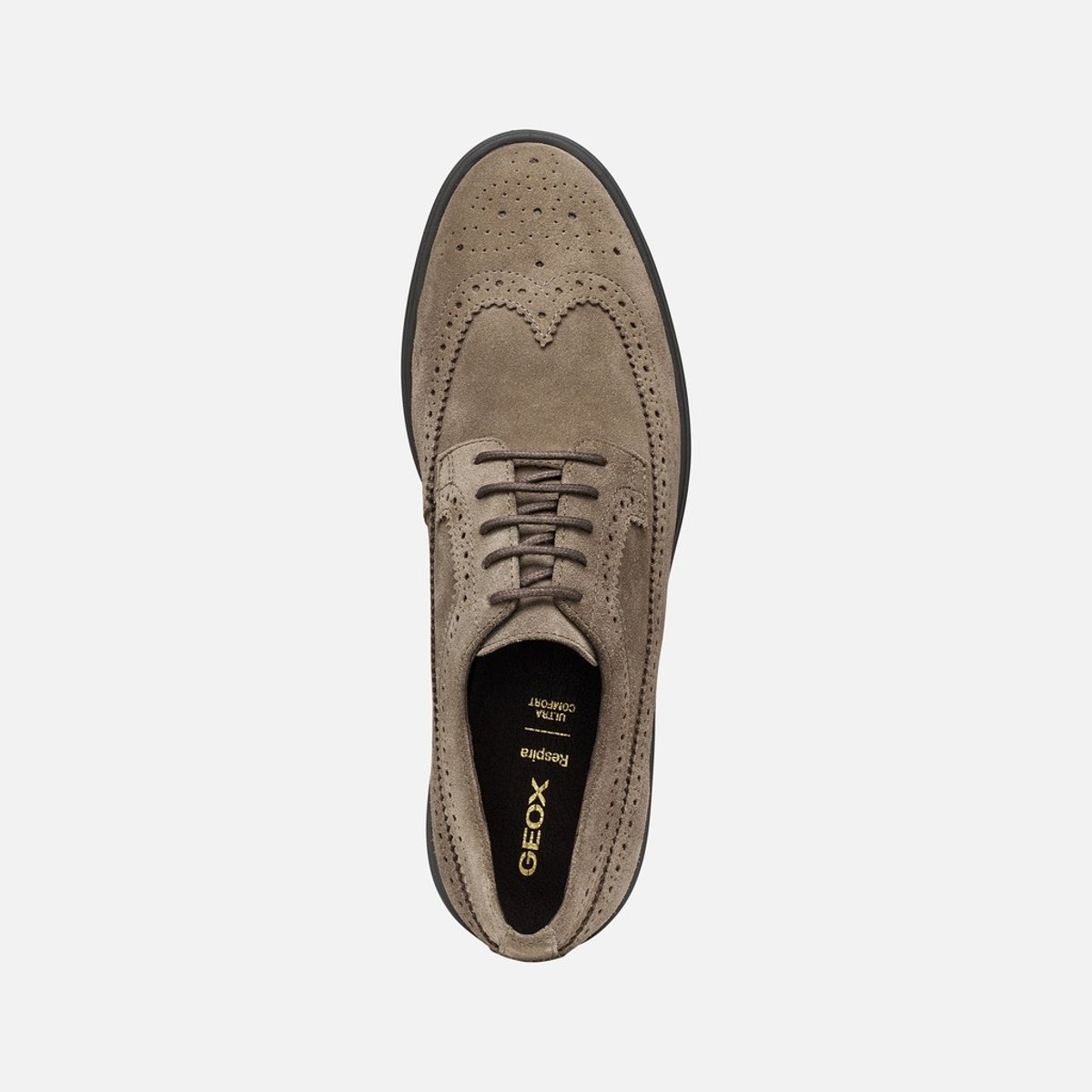Chaussures Casual  U SPHERICA EC17 taupe, GEOX