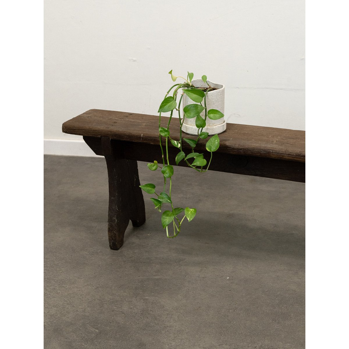 Banc en sapin Antoine N°454 - Bon état bois foncé, DEBONGOUT
