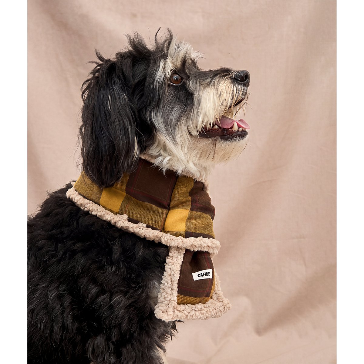 Écharpe tartan moutarde pour chien, Mica jaune, CAFIDE