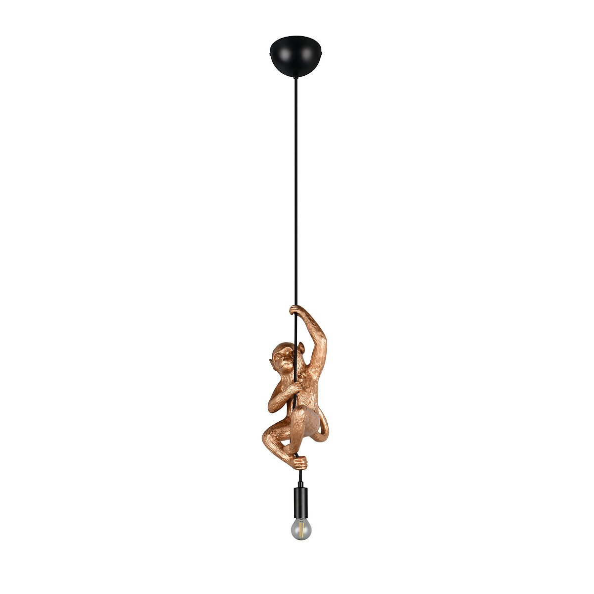 Suspensão Fips, da Trio Lighting dourado, TRIO LIGHTING