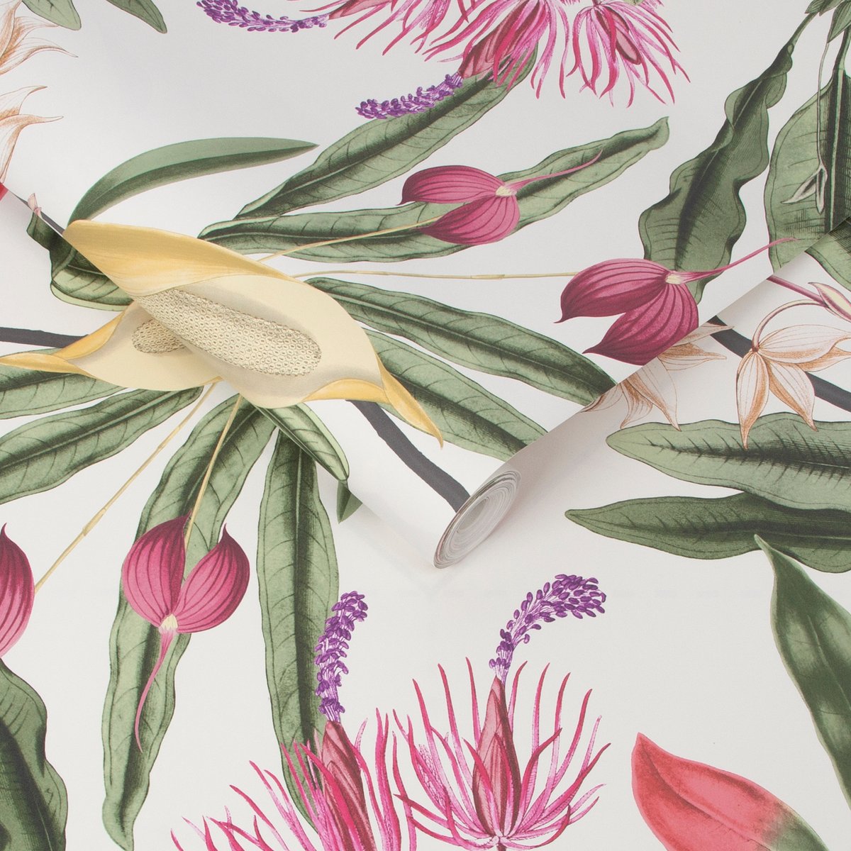 Papier peint Paradise Chalk vert, rose, blanc cassé, GRAHAM ET BROWN