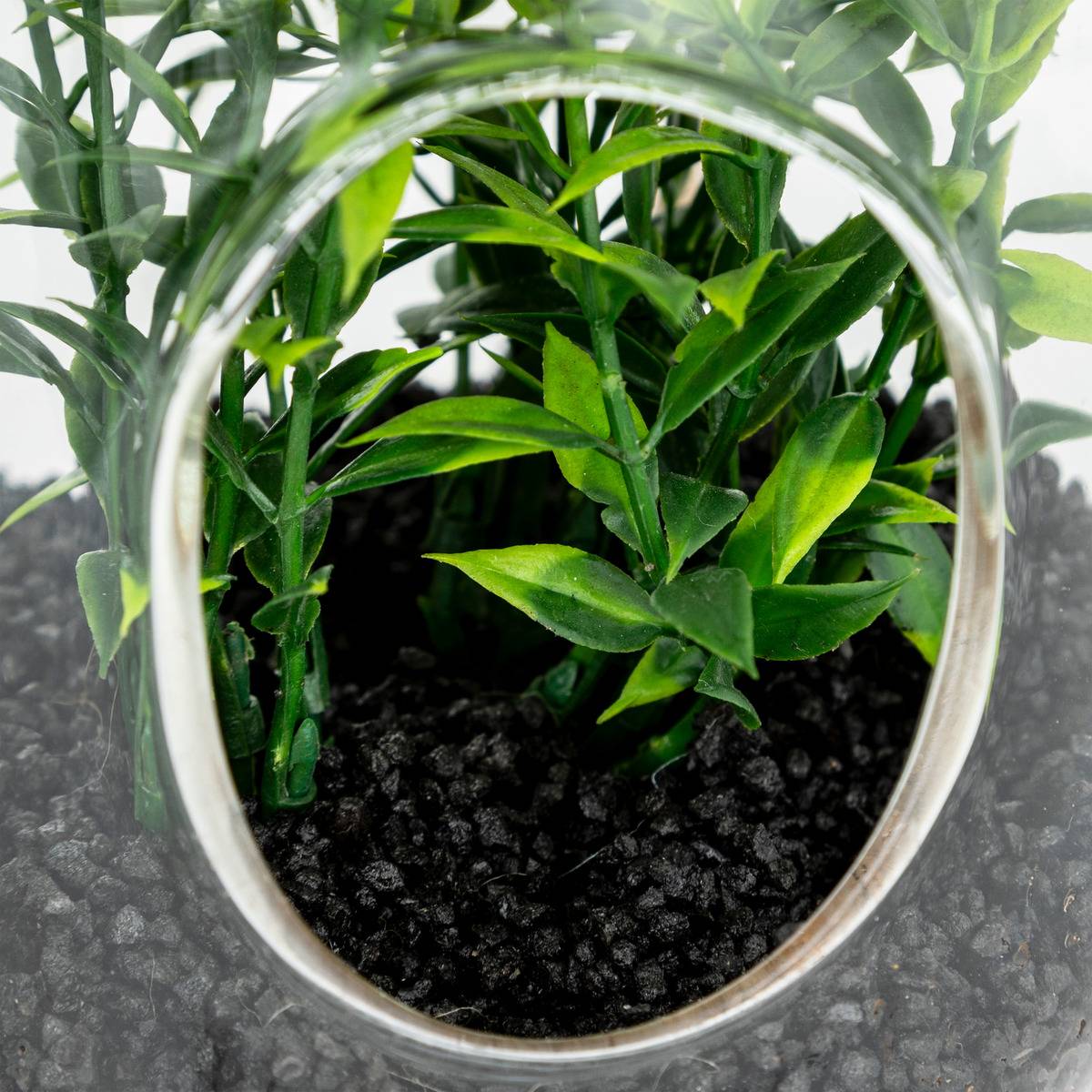 Terrarium artificiel suspendu FAMILY CORNER vert, ATMOSPHERA