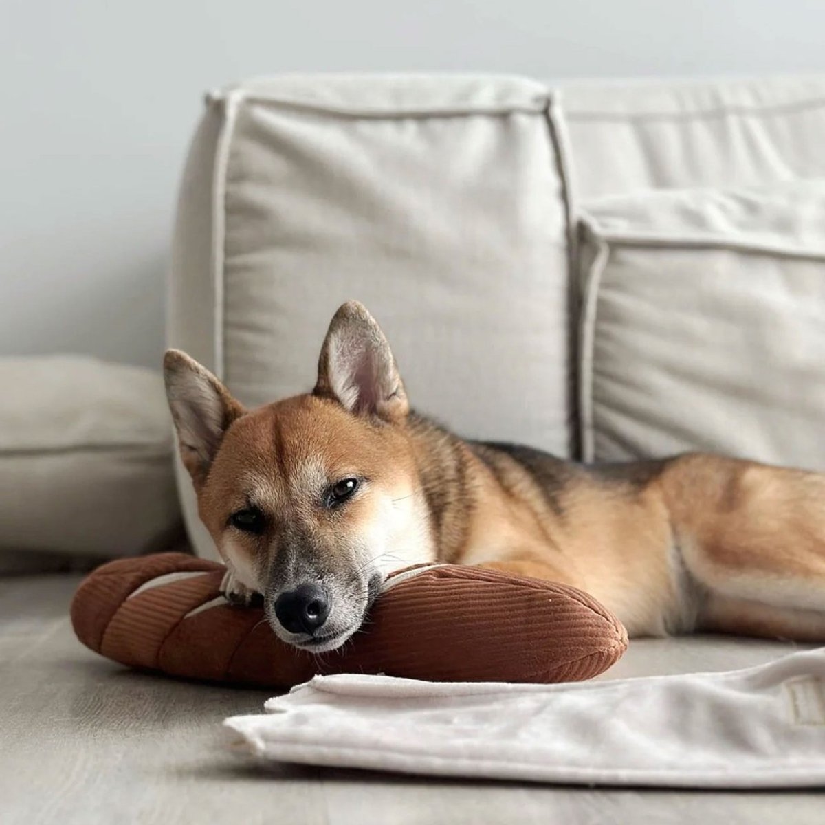 Jouet fouille baguette pour chien, BAGUETTE marron, LAMBWOLF COLLECTIVE