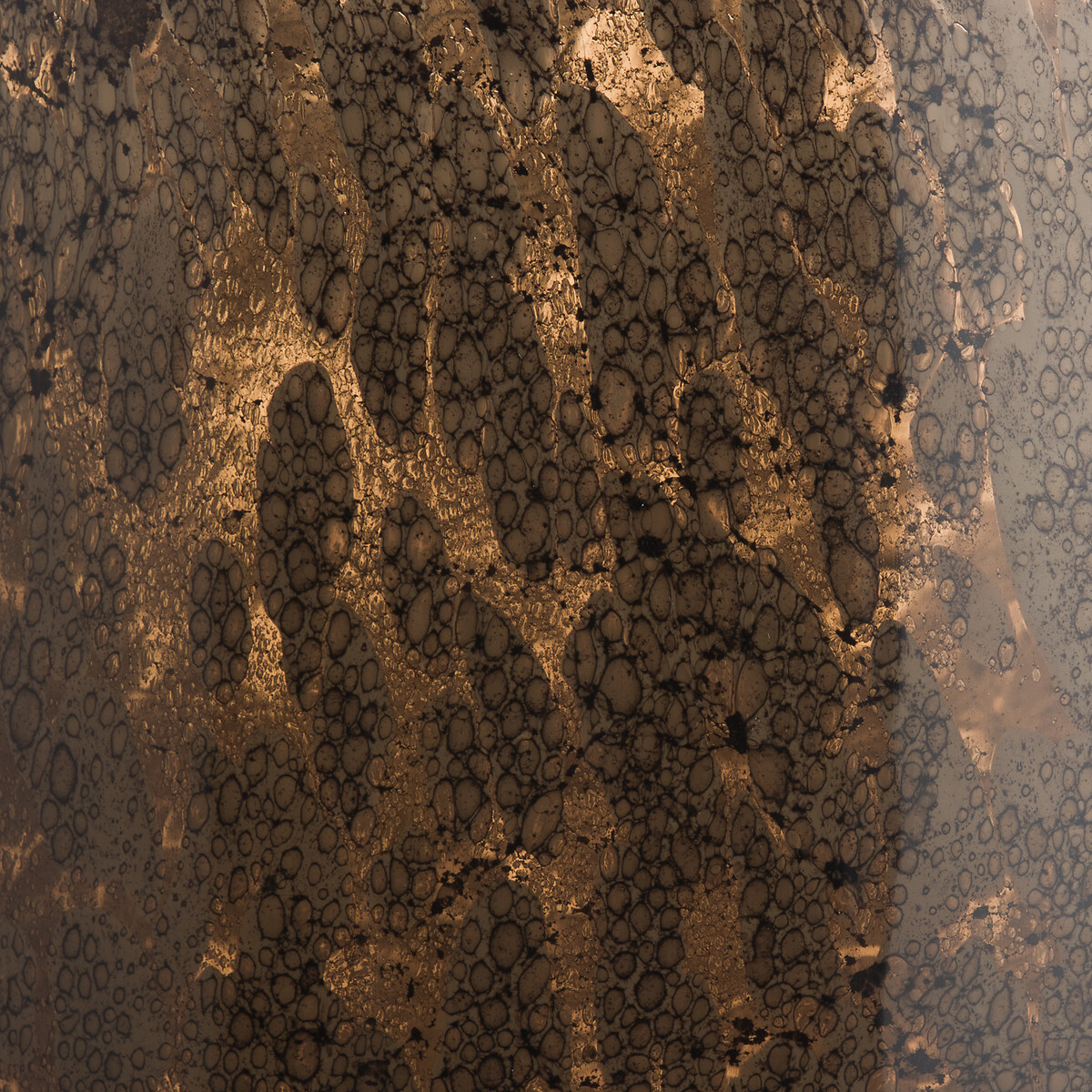 Remus Reactive Effect Glass Vase mocha, AM.PM