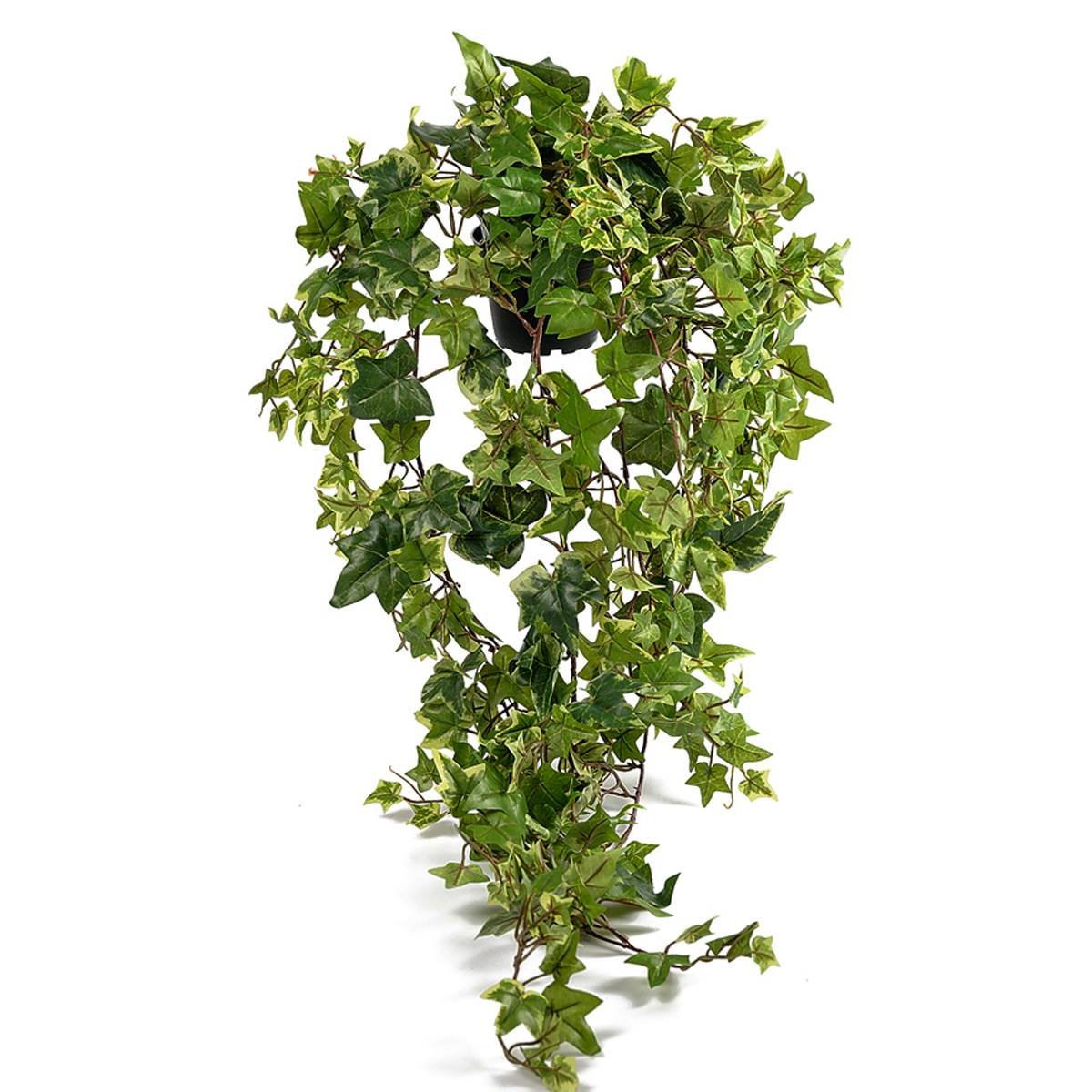 Lierre retombant artificiel panaché en pot, v002239, ARTIFICIELLES