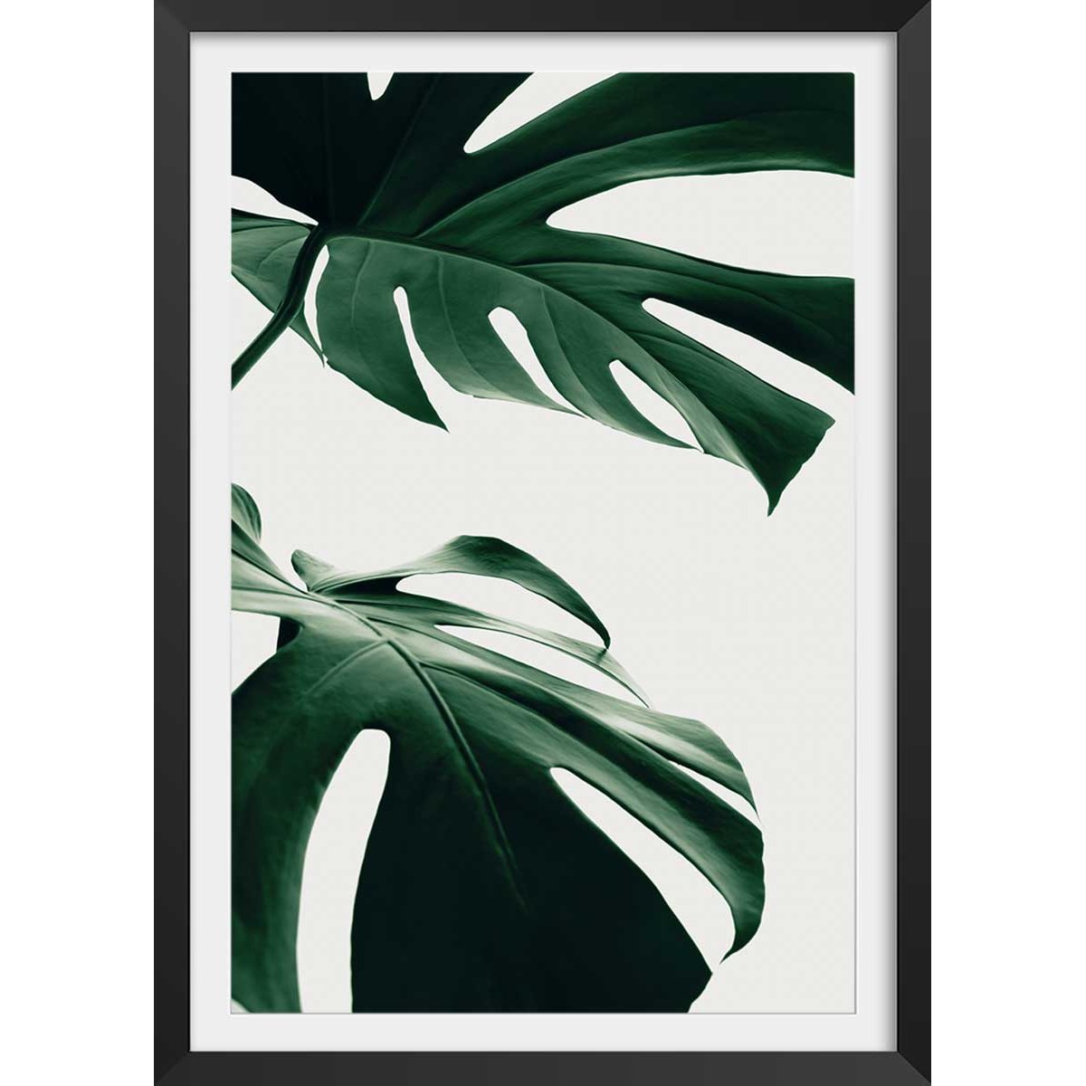 Affiche monstera due affiche + cadre en bois - noir, HEXOA