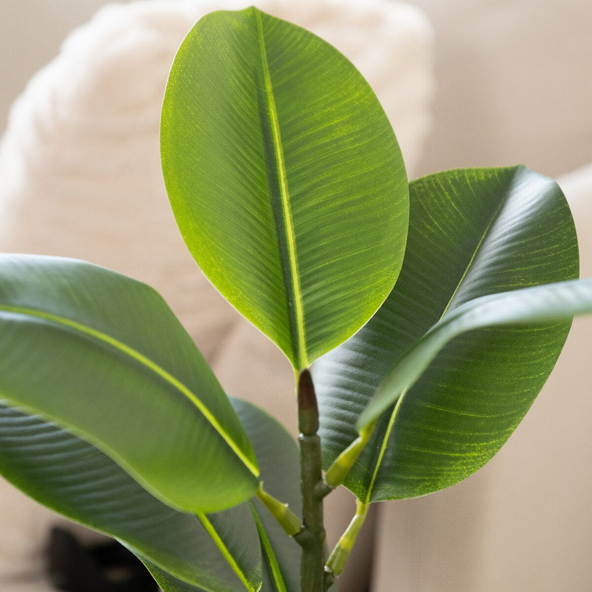 85cm Artificial Real Touch Rubber Tree green, SO'HOME
