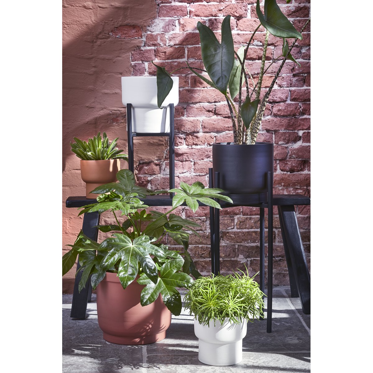 Support pour plantes H71 cm ASCOT XL noir, MICA DECORATIONS
