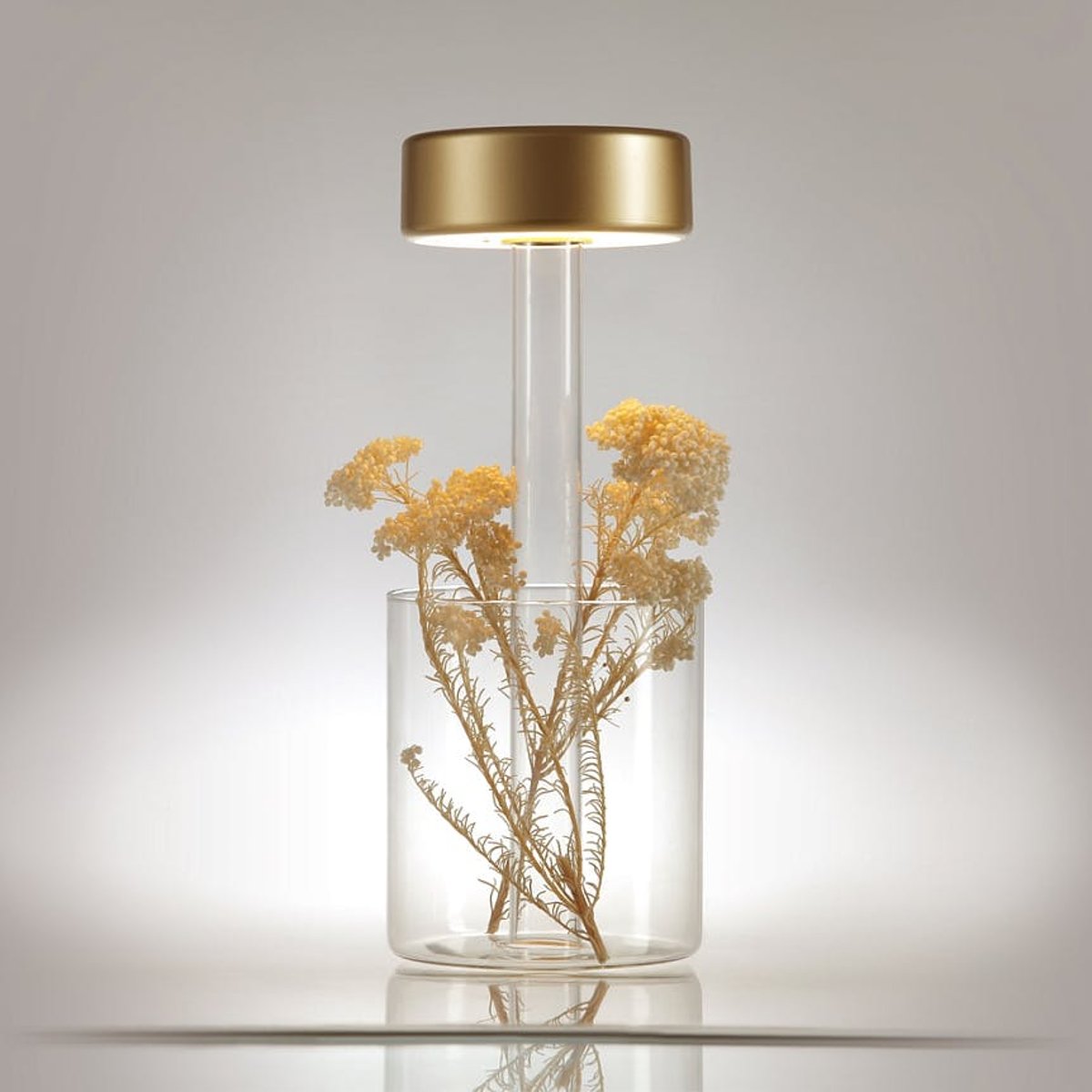Lampe d'appoint sans fil avec vase ALMA doré, PIER IMPORT
