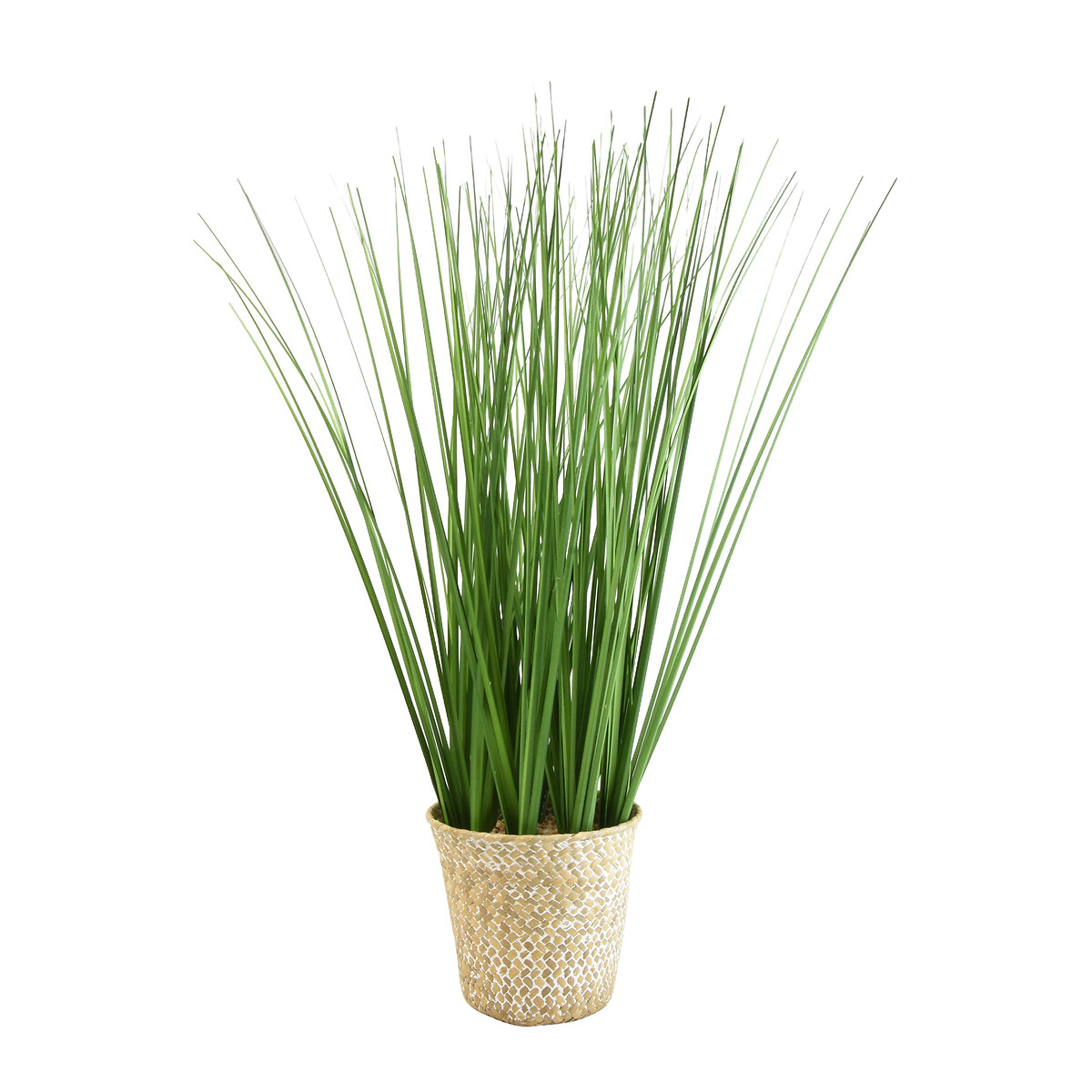 49cm Artificial Grass in Rattan Basket green, SO'HOME