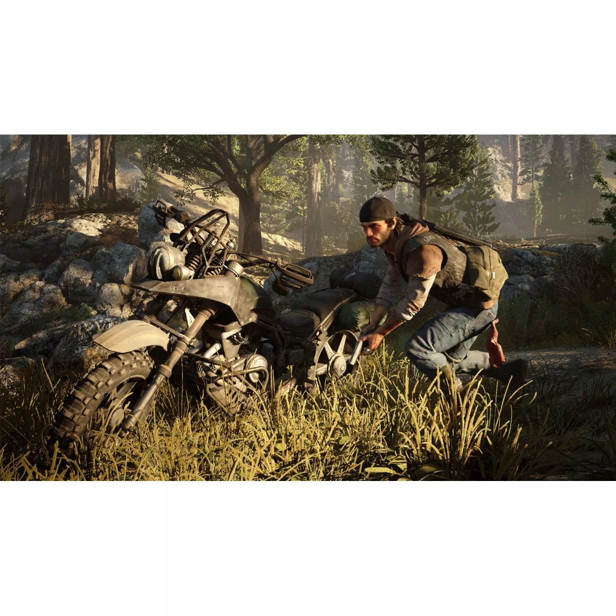 Jeu Ps4 Days Gone couleur unique, SONY