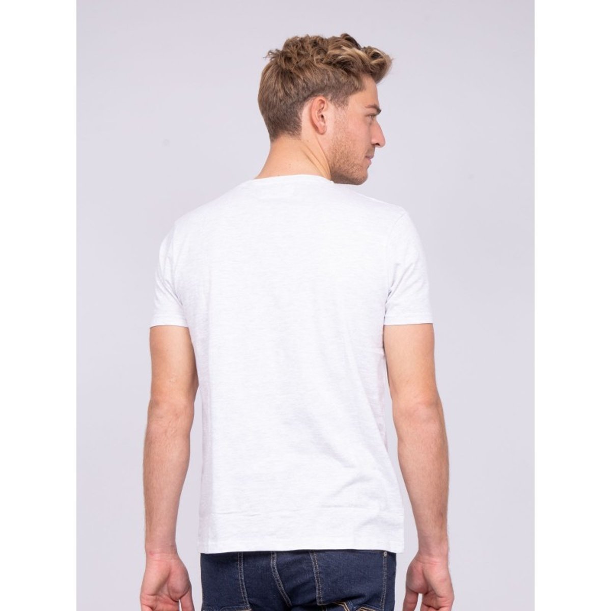 T-shirt Col Rond Pur Coton Nerlin gris, RITCHIE
