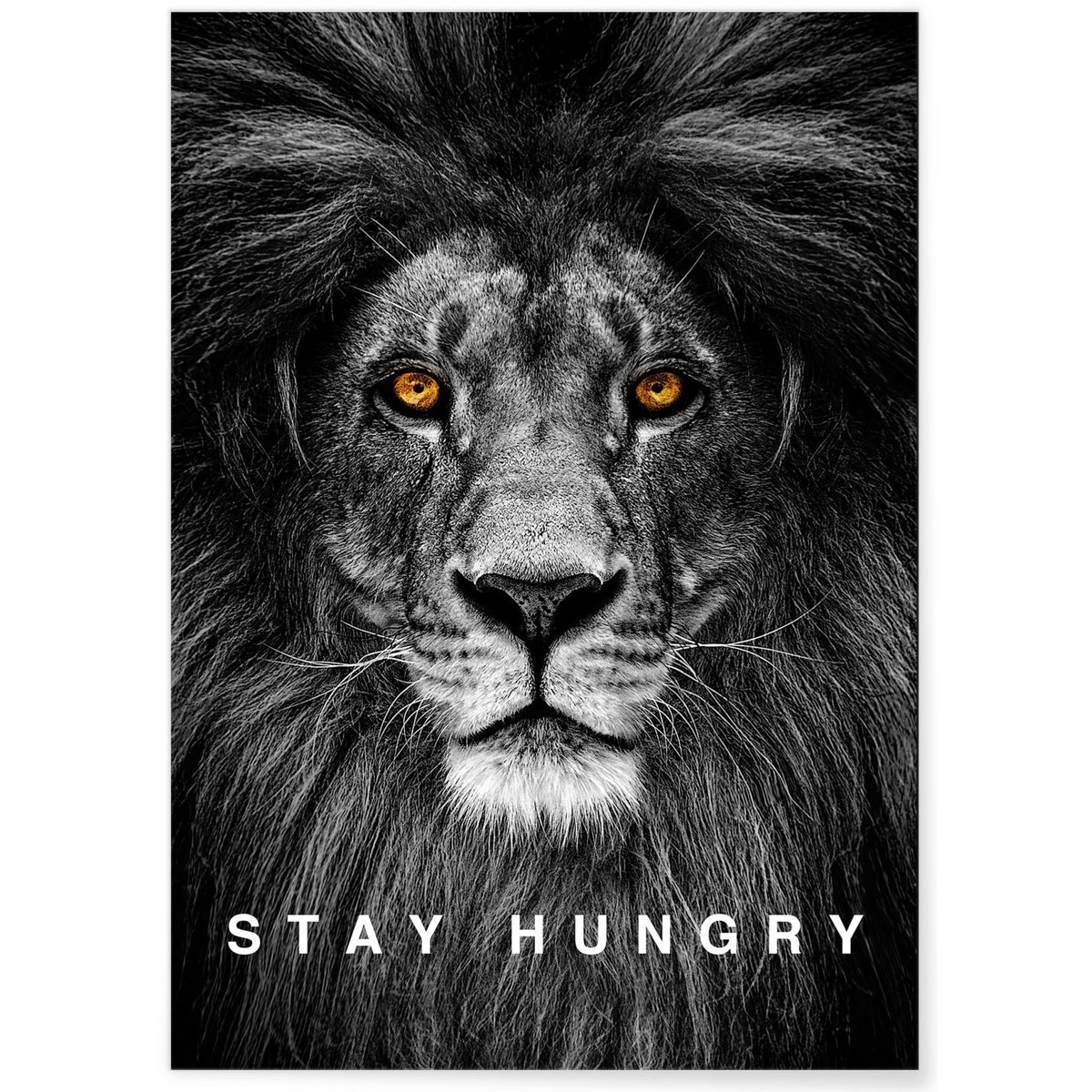 Affiche Motivation Stay Hungry blanc, L'AFFICHERIE