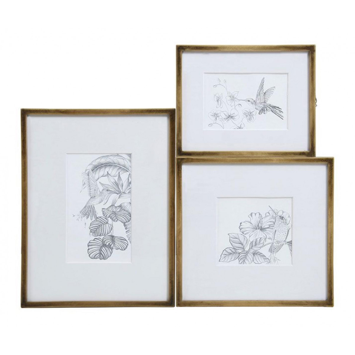 Cadre oiseaux crayonnés (set de 3) - CHARME or, INTERIOR'S