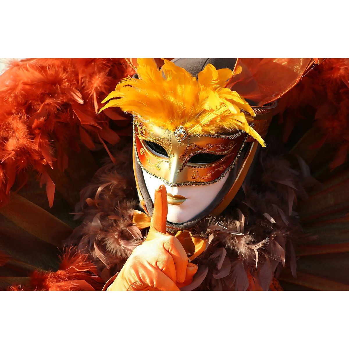 Tableau monde carnaval de venise tableau alu dibond, HEXOA