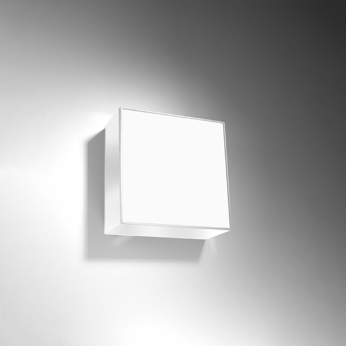 Plafonnier PVC Blanc E27 1 Horus blanc, EDEN