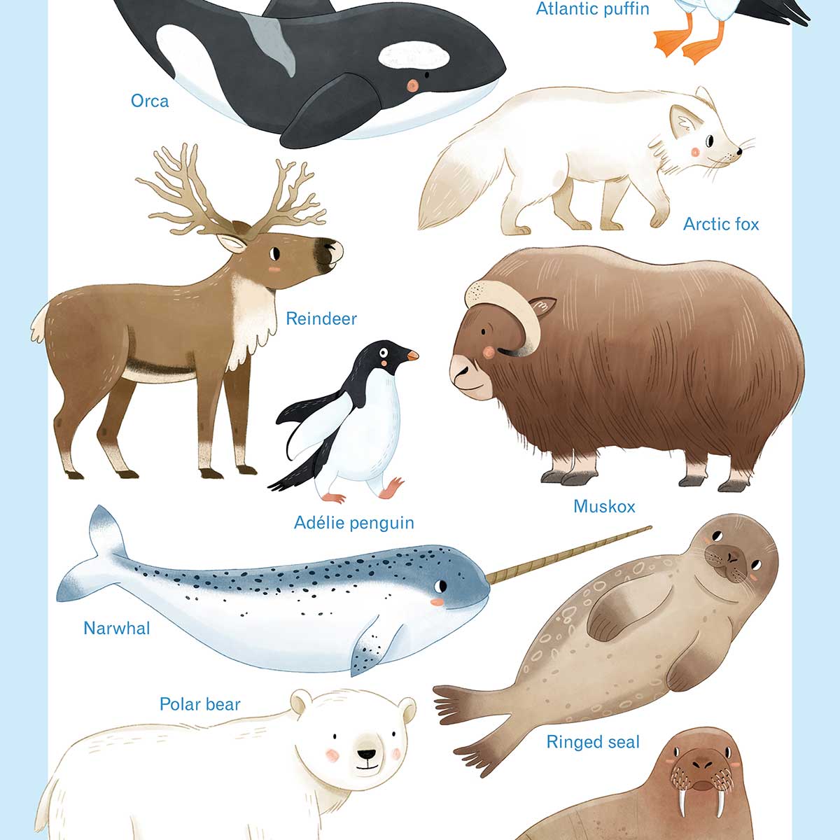 Affiche enfant animaux polaires affiche seule, HEXOA