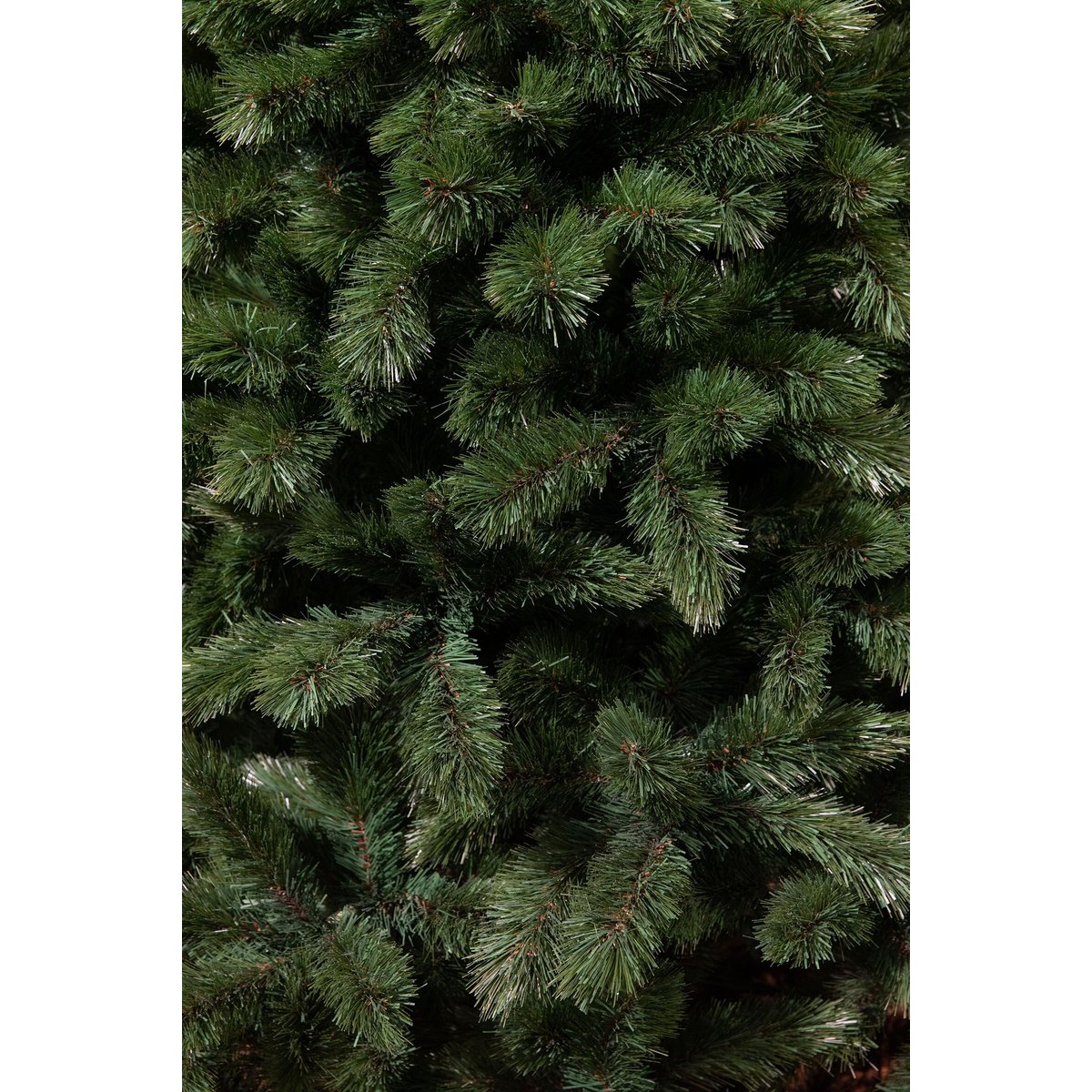 Sapin de Noël CAMDEN vert, TRIUMPH TREE