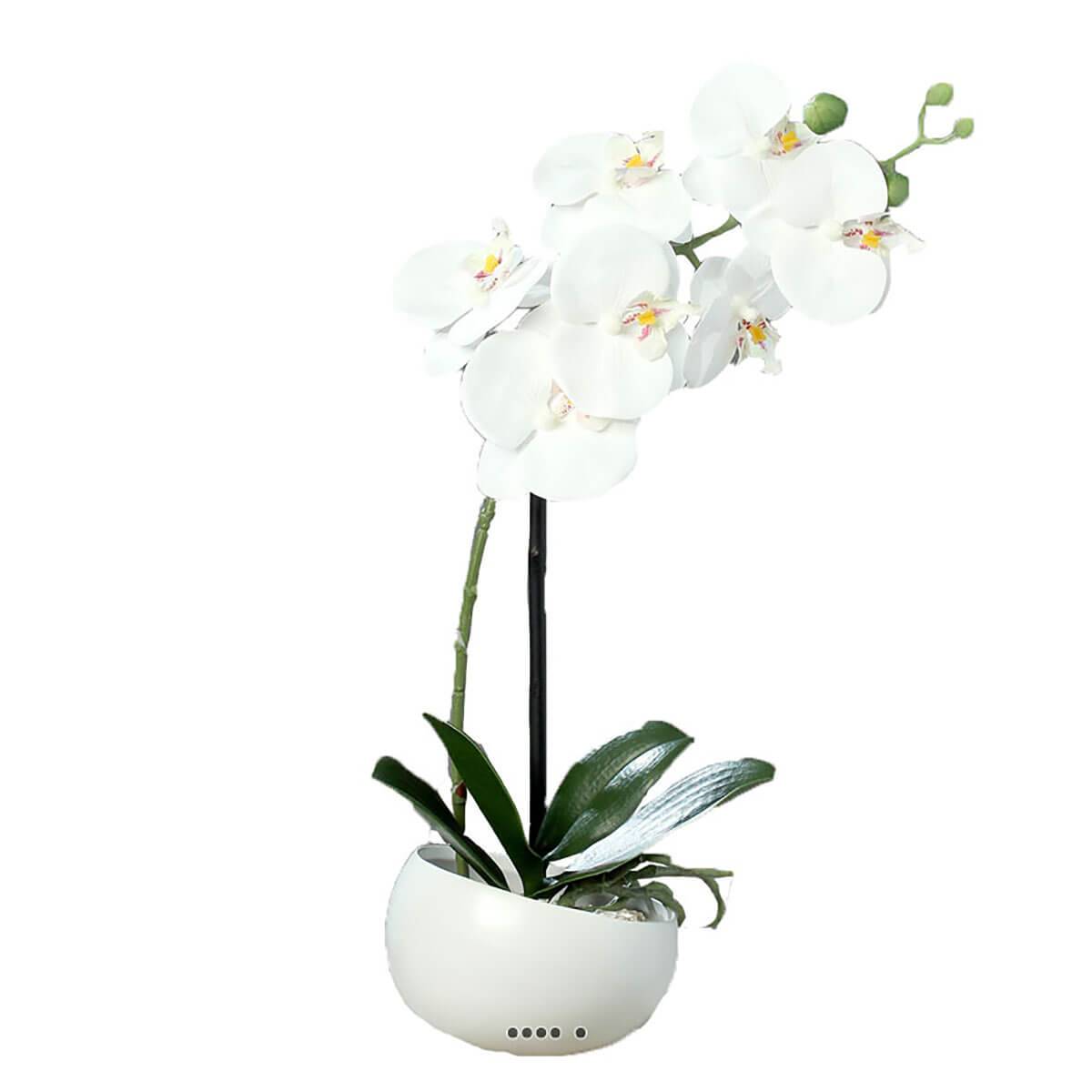 Orchidée factice 1 hampe coupe céramique H40 blanc neige, ARTIFICIELLES